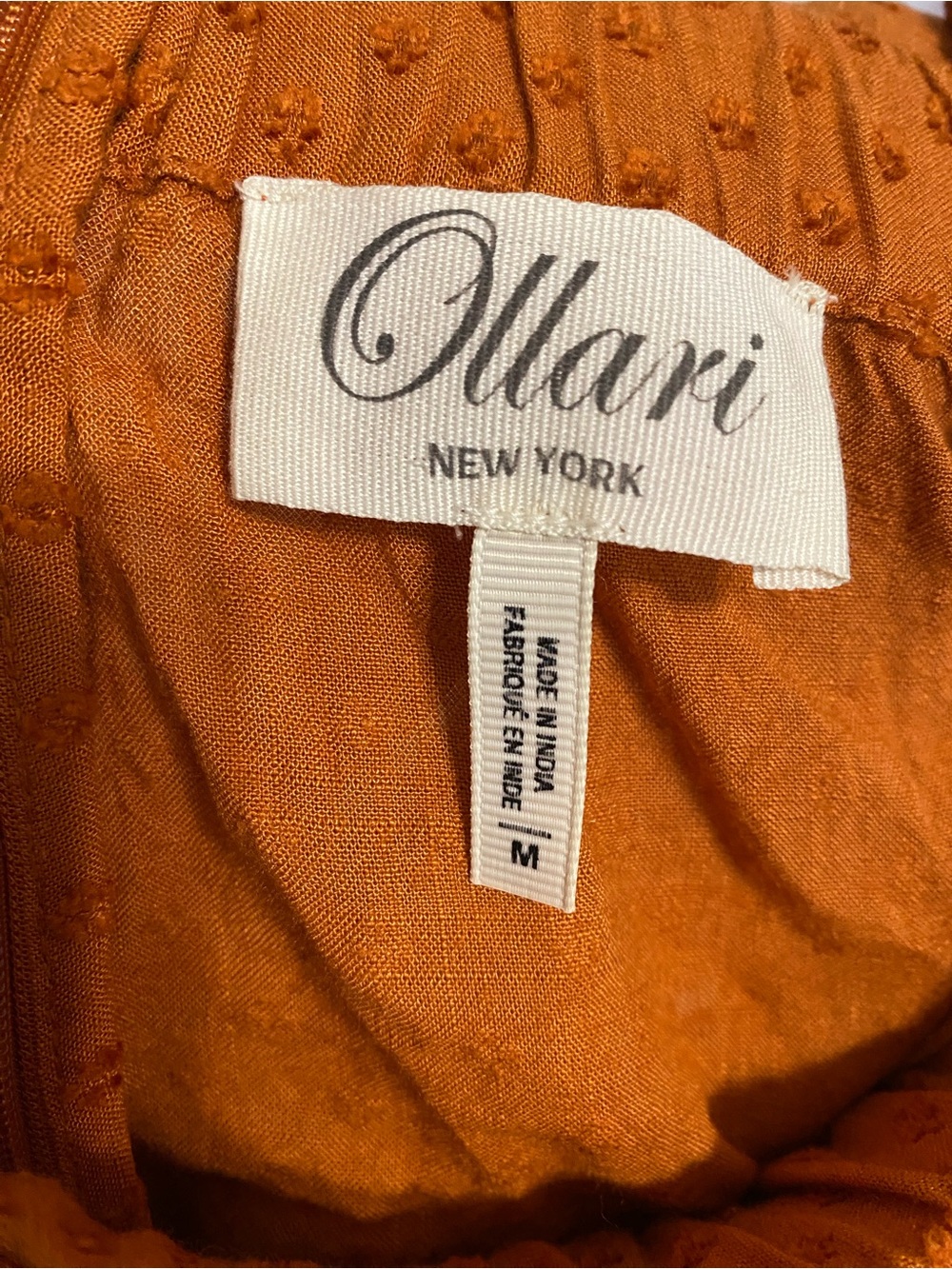 Rust Orange Ruffle Waist Shorts - Picture 3 of 3